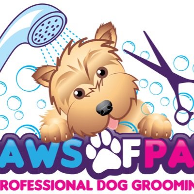 PawsofPar's profile picture. Professional dog grooming salon based in Par Cornwall. Catering for all breeds. Award winning, fully insured, City and Guilds qualified dog groomer.