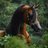 abdaakk5557's profile image