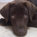 Maddison King - @TheresNoneLeft1 - Twitter