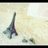 yua_love_only's profile image