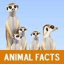 Secret facts of animal world wait for you in this account. Every time you will learn sthng new about animals!!!