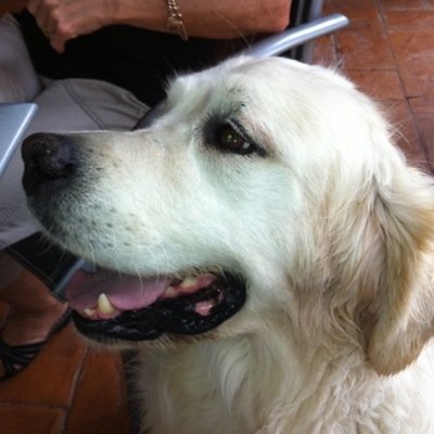 pmilburn1's profile picture. 