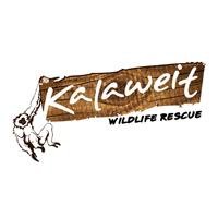 Kalaweit Wildlife Rescue a documentary tv program committed to conservation. Created by Eagle Institute Indonesia. contact: kalaweit@eagleinstitute.id