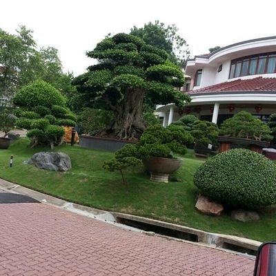 arshad5823's profile picture. 