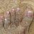 Nisi12's profile image
