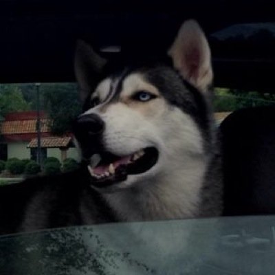 studentoflifeE3's profile picture. I'm lost, I find myself while I search now I use my music to pray with no words - Drew girl here ;)