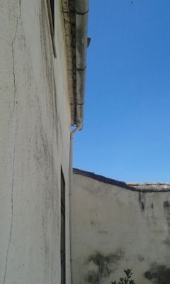 juanpedropegot's profile picture. 