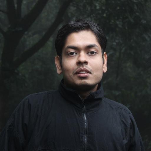 Software Developer