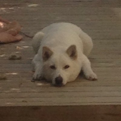 0813_aki's profile picture. 愛媛大洲→香川→愛媛松山