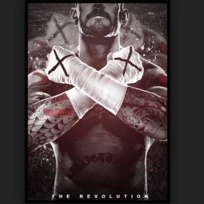 wwe fan