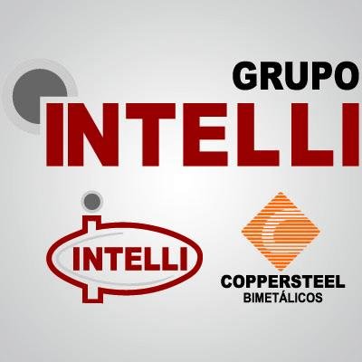 Intelli - Ind. de Terminais Elétricos Ltda.