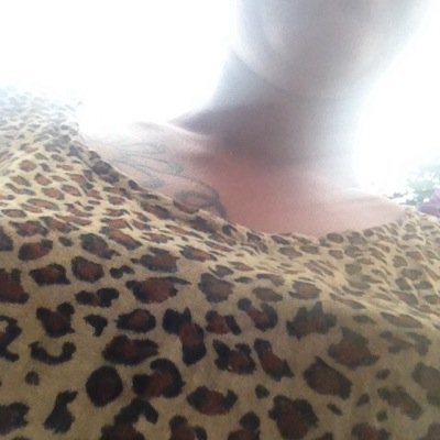 CarolinaSkaya's profile picture. 