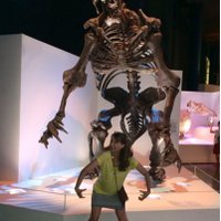 Janet Ray (@janetkelloggray) 's Twitter Profile