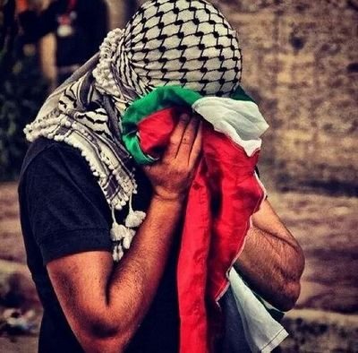 Salam ; Paix ✌