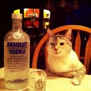 Beth Wayne - @bethbethwayne - Twitter