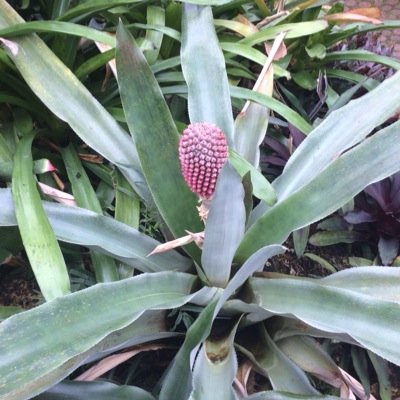 TeddersMark's profile picture. Grantmaking. Opinions are mine. Unless I borrowed them off someone else.