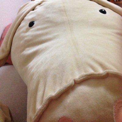 Dbms811's profile picture. だいばむちゃんはこぶた。はしたんのベッドのうえがすき、転職かんがえてるくらい毎日いがそしい。たのついけど。ふふん。