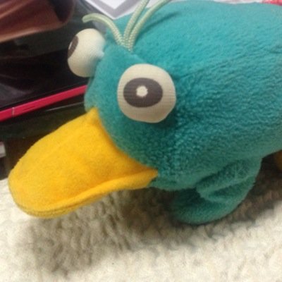 永遠の腐女子な怪獣兄弟使い(10歳♂5歳♂3歳♂) RT大好き！きめつ炭受けとじゅじゅつ悠受けが好物。わどち可愛い大好き❤️肉の鎧がなくなったらまた仮装したい昭和生まれw