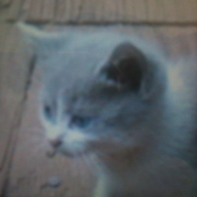 12mer1245's profile picture. 