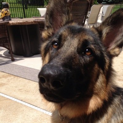 mdschnei's profile picture. 