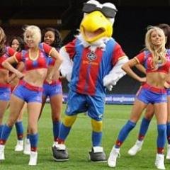 #CPFC ∙ Entrepreneur ∙ Cyclist & runner ∙ Love dogs & horses ∙ Indie cinema ∙ Green drinks & green energy ∙ Travel