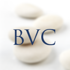 Brightstone Venture Capital is a venture capital firm based in Minneapolis, MN.