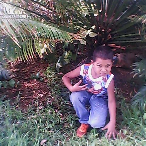 guariato61's profile picture. AMABLE Y SOCIABLE