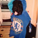 Deborah Paterson - @debspat13 - Twitter