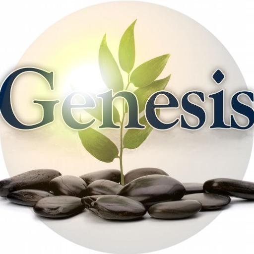 Genesis Ibogaine Center, the 7 day road to freedom for substance abuse.