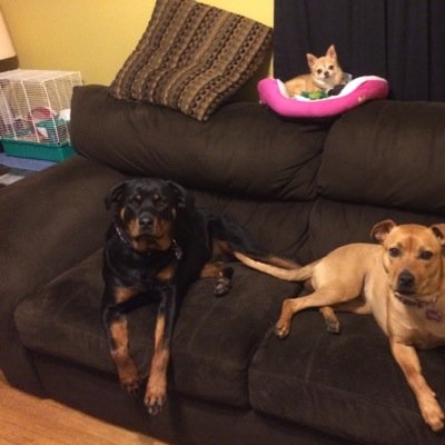 lindsaym12385's profile picture. 