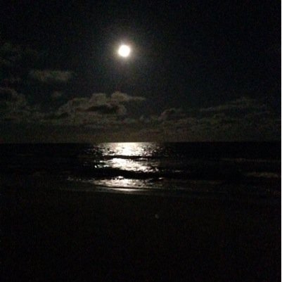 keep51pounding's profile picture. 