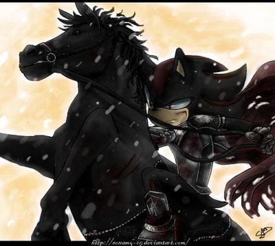 I am shadow, shadow the hedgehog, the ultimate life form. Now go -pulls out cannon- ...before I decide to kill you #pals: @I_Prince_Vegeta and @Lord_Tashio
