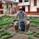 maximo salinas Avalo - @AvaloMaximo - Twitter