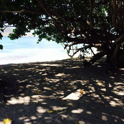 StThomasVaca's profile picture. All the best places to go on St. Thomas// advice for all Email: st.thomasvaca@gmail.com