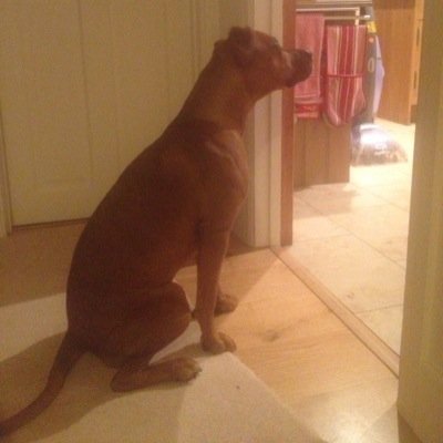 PiersGreen's profile picture. 