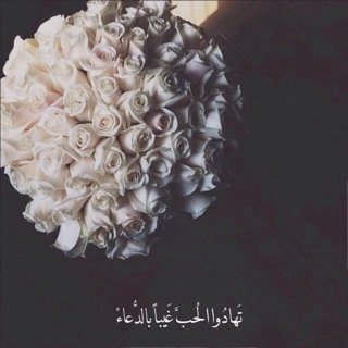هي من أجمل النعم ومن أروع العطايا فـ ياوهاب ياكريم أرزقها كل ماهو جميل،ولأنها نعمه لي منك رجوتك خالقي جنه لي معها @_MaAbdulaziz .