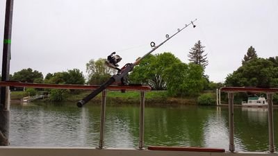 chrizzo0's profile picture. 