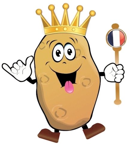 Re Chips è il nuovo Street Food italiano di patatine francesi fritte 100% tagliate fresche e cotte al momento, morbide dentro e croccanti fuori !