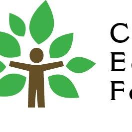 The CEF promotes & helps provide access to Catholic education through grants for religious educ., prof.  development, tech. enhancements & tuition assistance