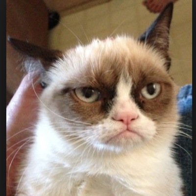 ProbsCat's profile picture. 