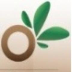 Journal d'informations générales en ligne, Membre du Conseil des Diffuseurs et Editeurs de la presse du Sénégal (CDEPS) et de l'APPEL