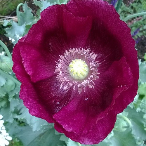 Richard Rundle (@rgrphotography) | Twitter