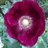 rgrphotography's profile image