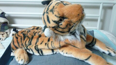 hunk0703pm's profile picture. す