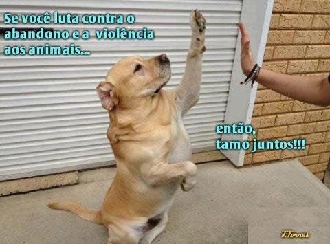 Esse seu medo de errar, de que tudo acabe mal, já impediu que você tivesse muitos finais felizes, sabia?