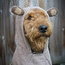 PoppyvanZ's profile picture. 