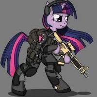 TwilightGames7's profile picture. #rp#BI#single#gamer#sharp shooter#military#likes rap,dubstep,rock#captain#well trained#uses martial arts#alicorn#steam gamertag:[TWILIGHT]GamerMatrix