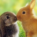 Martita Hernandez - @Martitahdz18 - Twitter