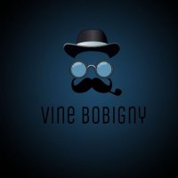 Vine Bobigny™ (@vinebobigny) 's Twitter Profile