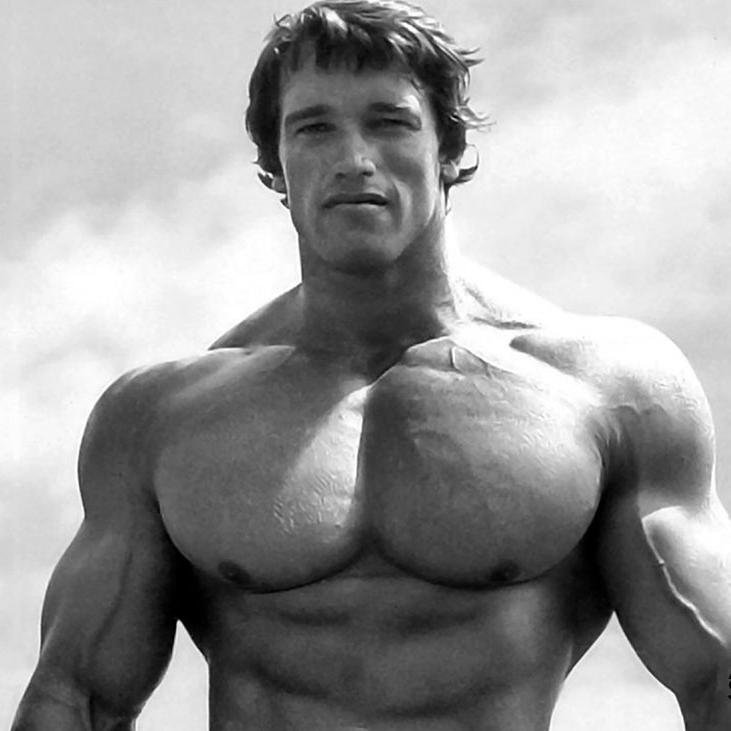 Treinos, Dietas, Ciclos e Suplementação
Trainings, Diets, Cycles and Supplementation